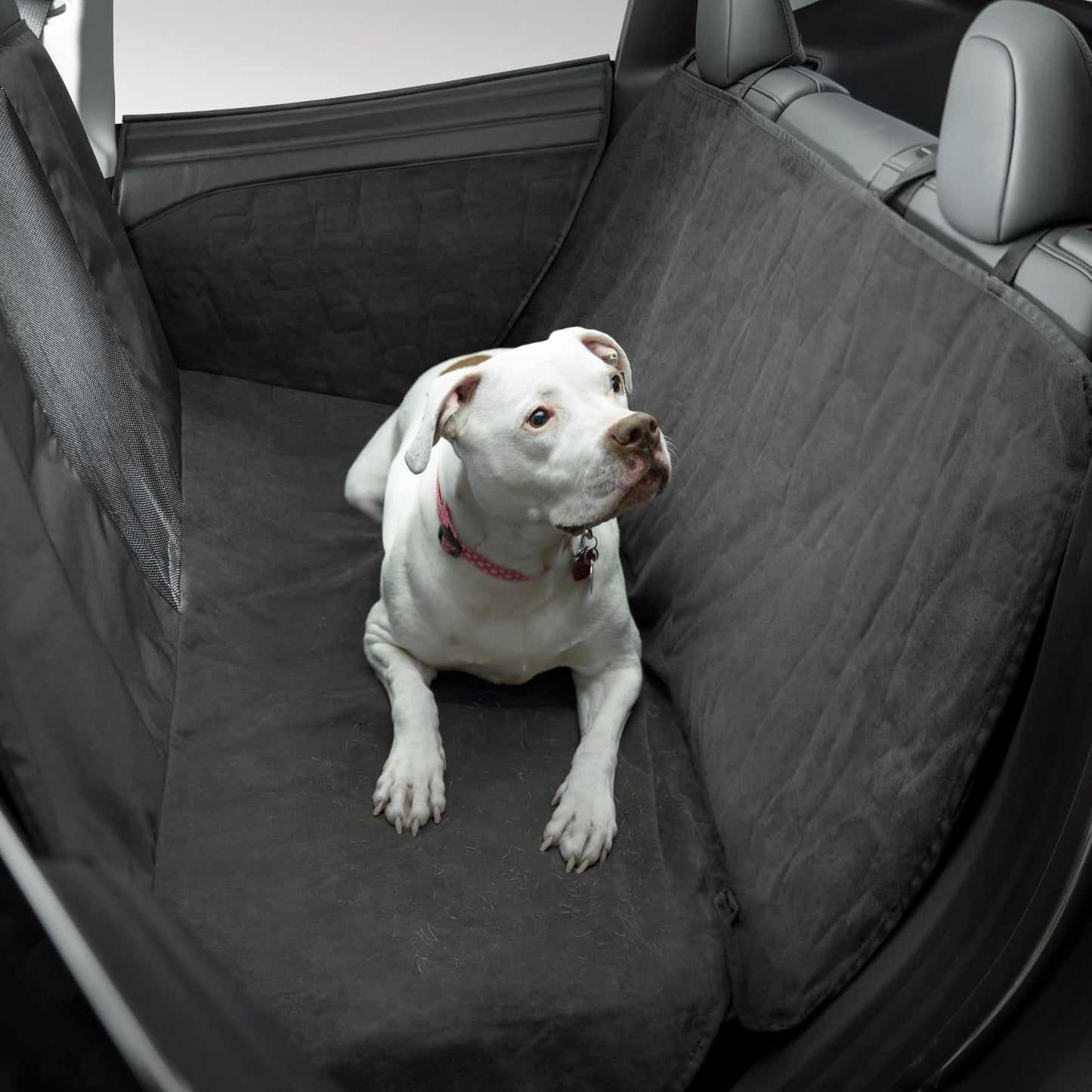 TOPABYTE Forro para mascotas en el asiento trasero del modelo Y 3 S